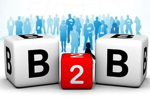 京東B2B電子銷售 為何能在阿里失手處成功？